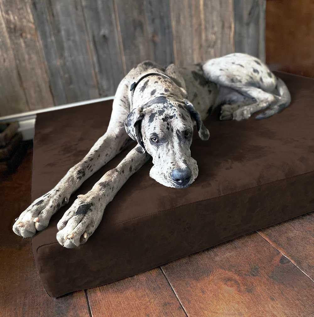 Barker Beds Sleek Giant Dog Bed (Giant, Chocolate) – 7" Thick Soft & Comfortable Orthopedic Cushion – Big Dog Bed – Durable & Washable Microsuede Cover – Made in USA