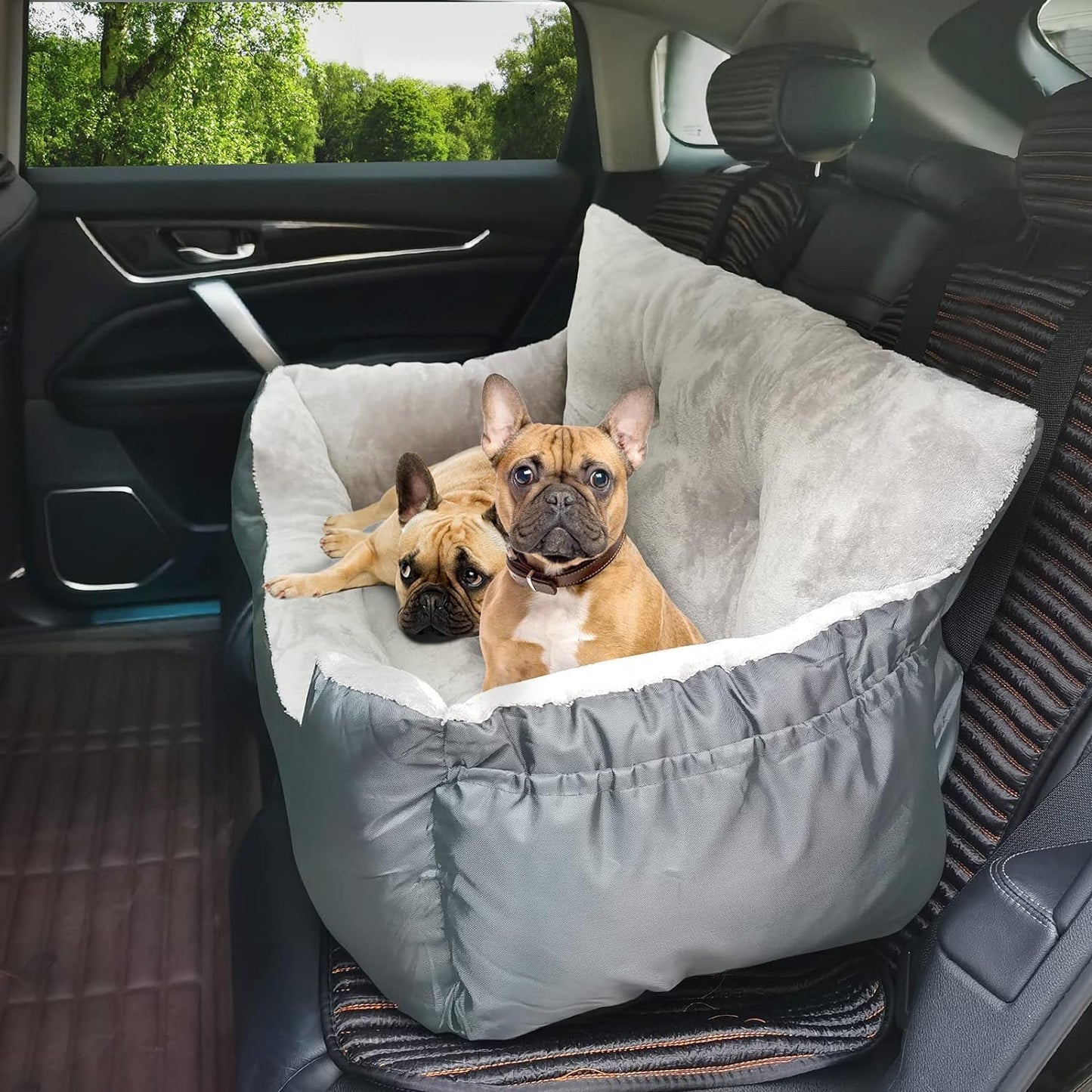 Dog Car Seat - Washable, Anti-Slip Booster for Medium Dogs up to 65 LBS, 2 Seat Belts