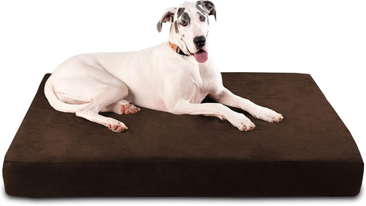 Barker Beds Sleek Giant Dog Bed (Giant, Chocolate) – 7" Thick Soft & Comfortable Orthopedic Cushion – Big Dog Bed – Durable & Washable Microsuede Cover – Made in USA